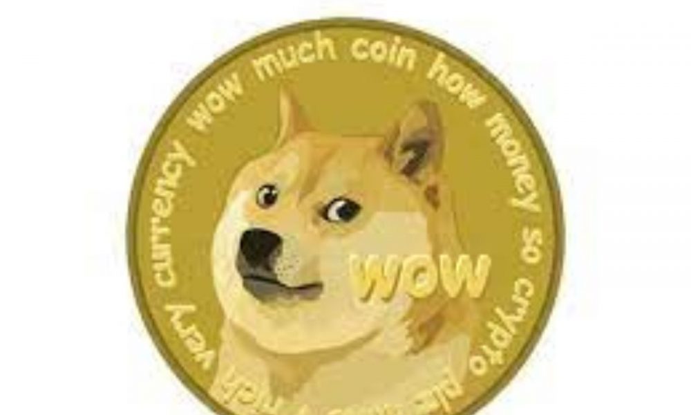 investors-questions-elicit-reactions-from-dogecoin