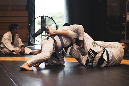 How To Start Mixed Martial Arts Training At Home?