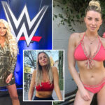 Released WWE Name ‘Wants To Come Back’ Says Real-Life Husband