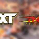 NXT-TNA Collaboration: Gail Kim Praises Unexpected Partnership