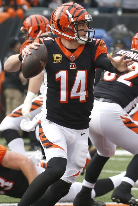 Jeff Driskel Bengals